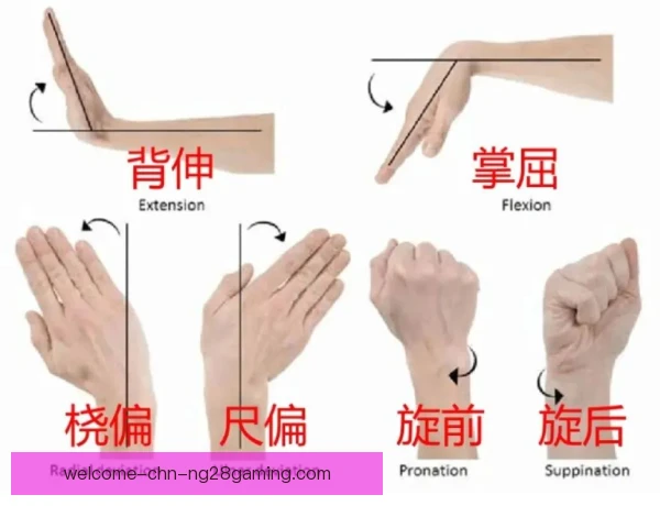 地掷球腕肘保护训练，强化小肌群与动作控制